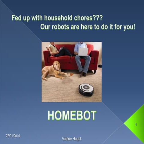Domestic Robots