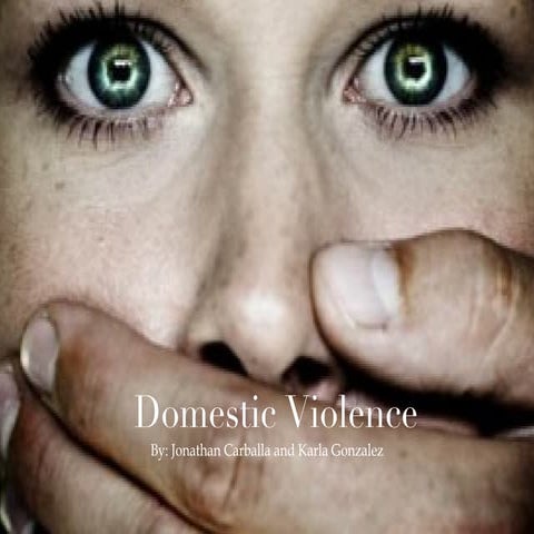 Domestic Violence Presentation