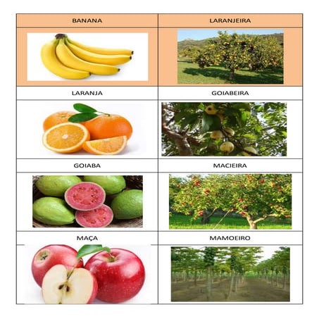 Dominó das árvores frutíferas
