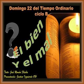 Domingo 22 T.O. 2 de septiembre