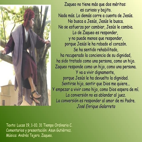 Domingo 31 t.o.c 2013 reflexión evangélica