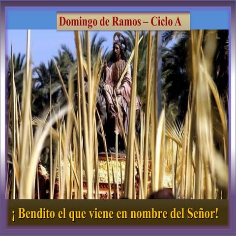 Domingo de ramos. ciclo a