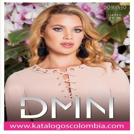 Dominio /  Campañas 12-13 /2016