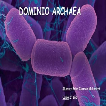 Dominio Archaea.pptx Brian Guzman Malament 1° año (C.A.B.A.)