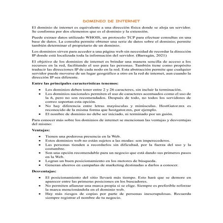 EL DOMINIO DE INTERNET Y SU IMPORTANCIA EN LA WEB | DOCX