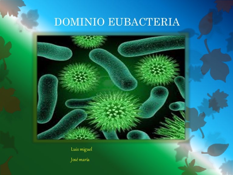O Domínio Bactéria Inclui Seres Com Células