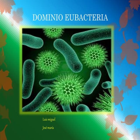 Dominio eubacteria