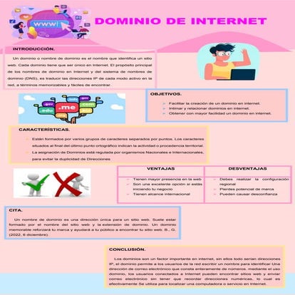 EL DOMINIO DE INTERNET Y SU IMPORTANCIA EN LA WEB | DOCX