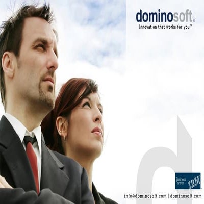 Domino Soft's Company Profile