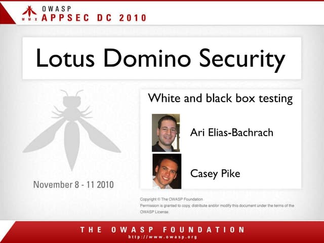 Domino testing presentation