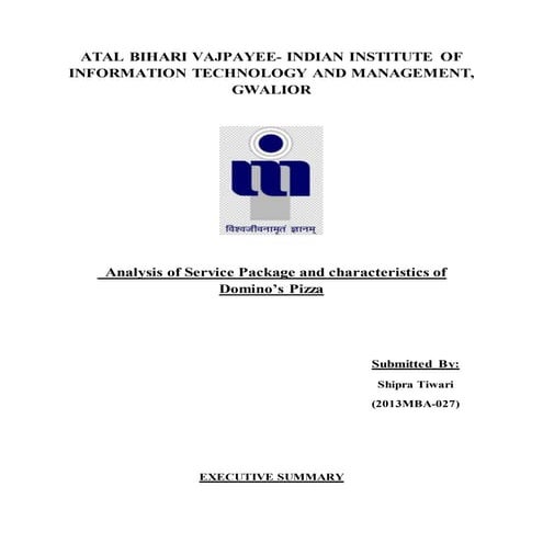Dominoz service package analysis