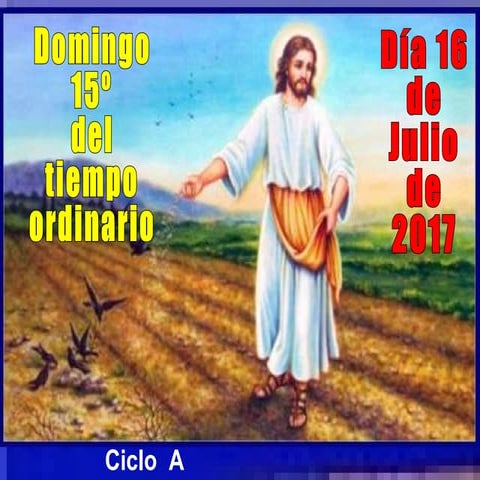 XV Domingo ordinario ciclo a