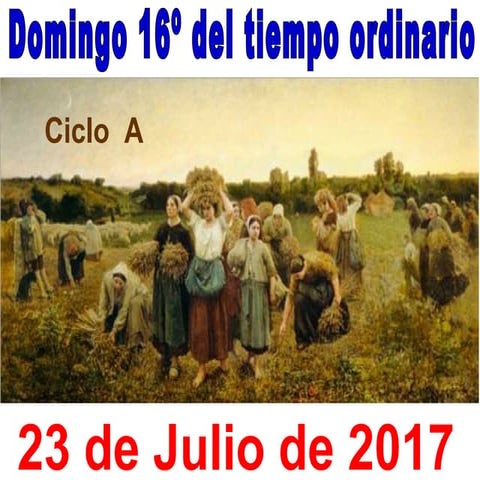 XVI Domingo ordinario ciclo a