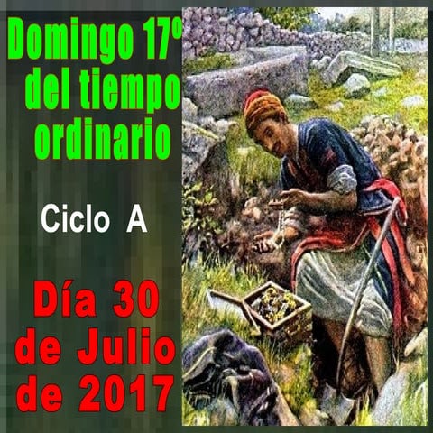 XVII Domingo ordinario ciclo a