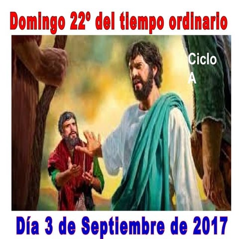 XXII Domingo ordinario ciclo a