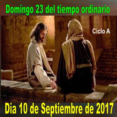 XXIII Domingo ordinario ciclo a