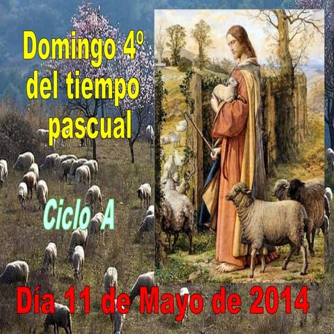 4ª semana de Pascua. Domingo 