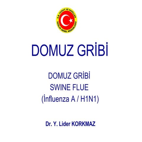Domuz Gribi