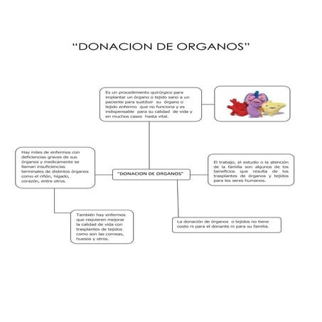 Donacion de organos
