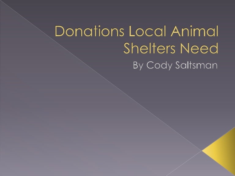 Donations Local Animal Shelters Need