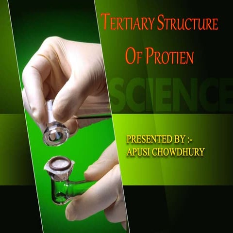 Tertiary structure of protein