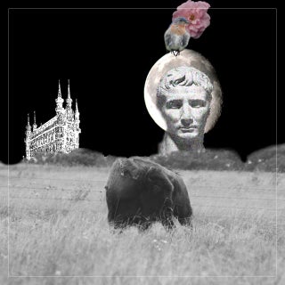 Illustrator effects montage