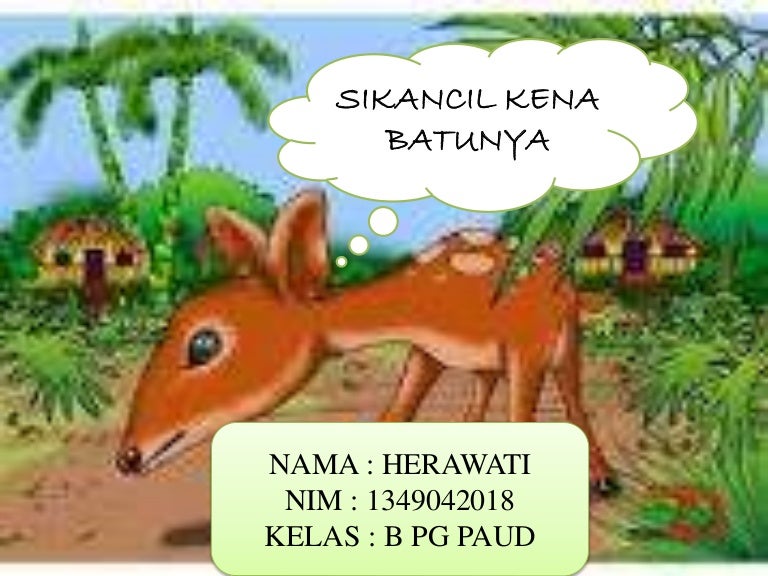 Dongeng si kancil kena batu nya Dongeng si kancil kena batu nya