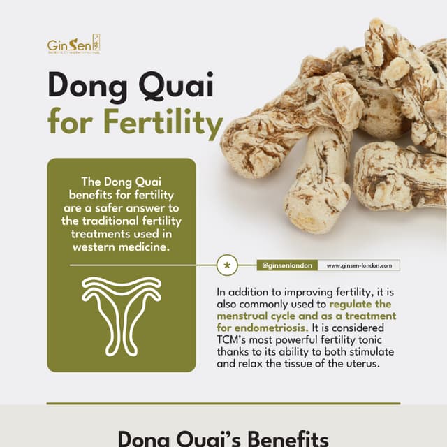 Dong Quai For Fertility PDF