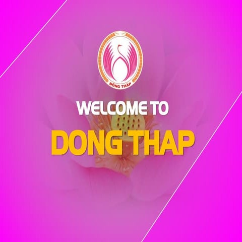 Dong Thap - A place to be