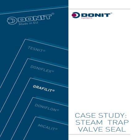 Donit Case Study: Steam Trap Valve Seal