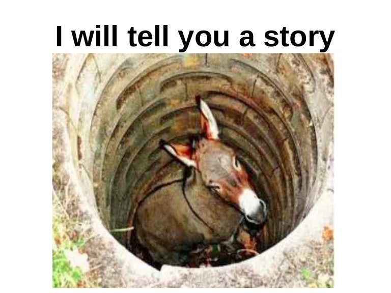 Donkey in the well, Shake it off and take a step up