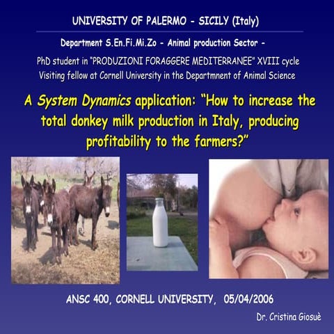 Donkey Milk