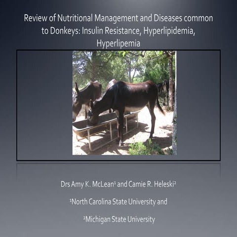Donkeynutrition | PDF