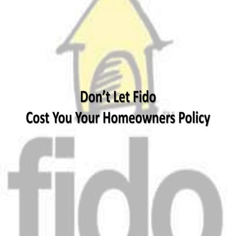 Don’t let fido(finished)