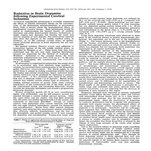 Dopamine and ischemia