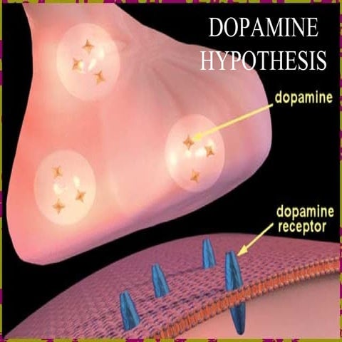 Dopamine hypothesis