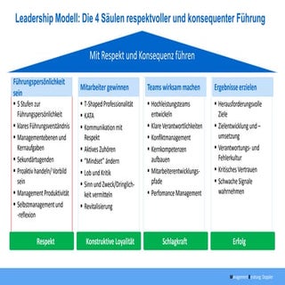 Doppler Leadership Modell