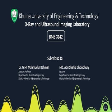 An overview on Doppler Ultrasound Imaging