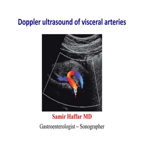 Doppler ultrasound of visceral arteries