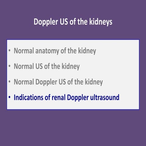 Doppler us of the kidneys 2