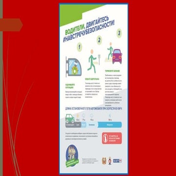 Дорожная безопасность 