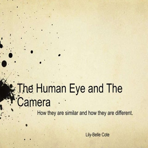 Human Eye and the Camera Powerpoint - Optics | PPTX