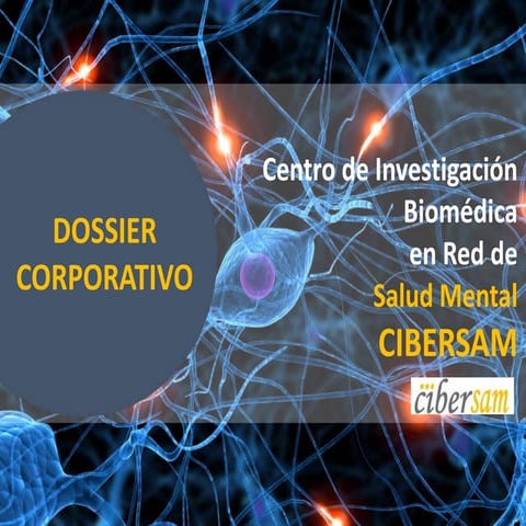 Dossier cibersam-v3.0 (1)