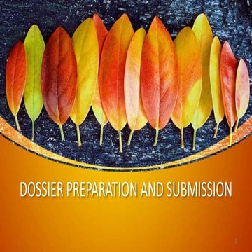 Dossier preparation and submission