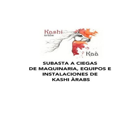 Dossier subasta Kashi Àrabs