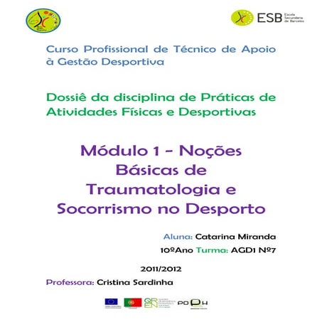 Dossiê módulo 1   nbstd - catarina miranda