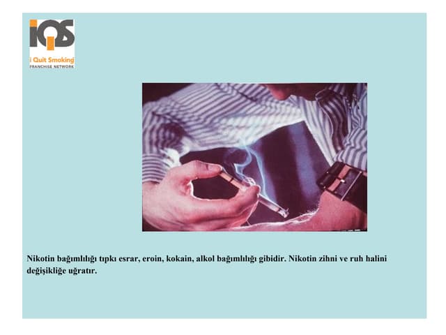 About your Smoker Friendly