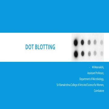 Dot blotting