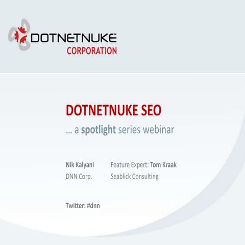 DotNetNuke SEO