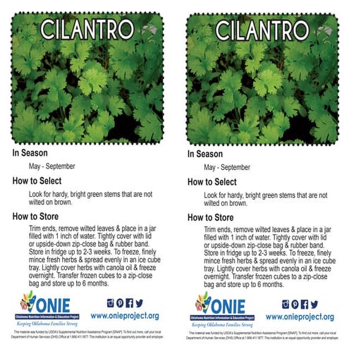 Cilantro Recipe Card